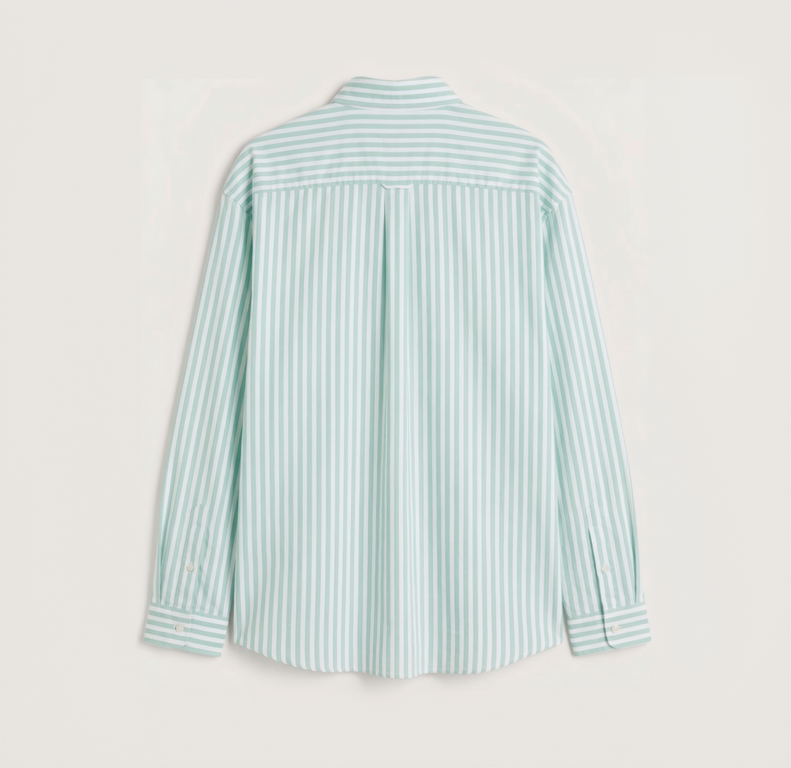 Back view of premium mint green striped Oxford shirt for men