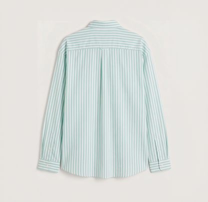 Back view of premium mint green striped Oxford shirt for men